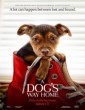 A Dogs Way Home (2019) Telugu Dubbed Movie