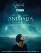 Animalia (2024) Tamil Dubbed Movie