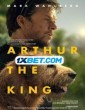 Arthur the King (2024) Telugu Dubbed Movie