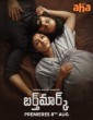 Birthmark (2024) Telugu Movie