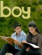 Boy (2019) Telugu Movie
