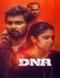 DNA (2025) Malayalam Movie