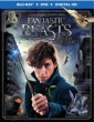 Fantastic Beasts and Where to Find Them (2016) Tamil Dubbed English BDRip