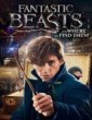 Fantastic Beasts and Where to Find Them (2016) Telugu Dubbed Movie