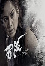 Kaarni (2018) Kannada Movie