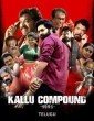 Kallu Compound 1995 (2024) Telugu Movie