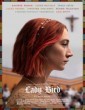 Lady Bird (2017) Tamil Dubbed English HDRip