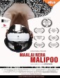 Maalai Nera Malipoo (2023) Tamil Movie