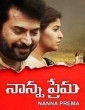 Nanna Prema (2021) Telugu Movie