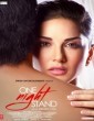 One Night Stand (2016) Telugu Movie