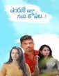 Pravasa Bharatheeyudu (2025) Telugu Movie