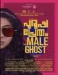 Purusha Pretham (2023) Telugu Movie