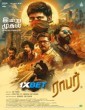 Robber (2025) Tamil Movie