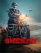 Shekar (2022) Telugu Movie