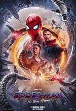 Spider Man No Way Home (2021) Telugu Dubbed Movie