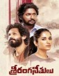 Sriranga Neethulu (2024) Telugu Movie