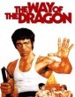 The Way of the Dragon (1972) Tamil Dubbed Movie