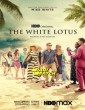 The White Lotus (2021) Tamil Web Series