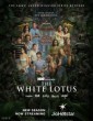 The White Lotus (2025) Season 3 Telugu Web Series
