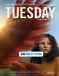 Tuesday (2024) Telugu Dubbed Movie