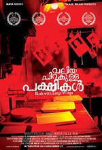 Valiya Chirakulla Pakshikal (2015) Malayalam Movie