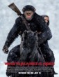 War for the Planet of the Apes (2017) DVDScr