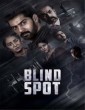 Blind Spot (2025) Tamil Movie