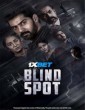 Blind Spot (2025) Telugu Movie