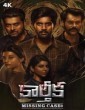 Karthika Missing Case (2025) Telugu Movie