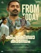 Kishkindha Kaandam (2024) Kannada Movie