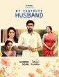 My Perfectt Husband (2024) Tamil Web Series