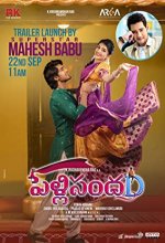 PellisandaD (2021) Telugu Movie