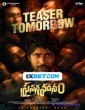 Prasanna Vadanam (2024) Telugu Movie
