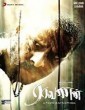 Raavanan (2010) Tamil Movie