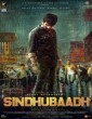 Sindhubaadh (2019) Telugu Movie