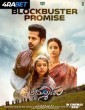 Thammudu (2025) Telugu Movie